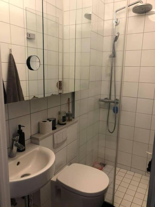 Apartment Cozy One Bedroom Close To Center Reykjavik