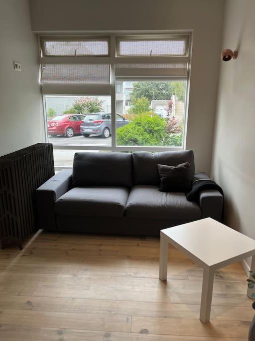 Cozy One Bedroom Close To Center * Reykjavik