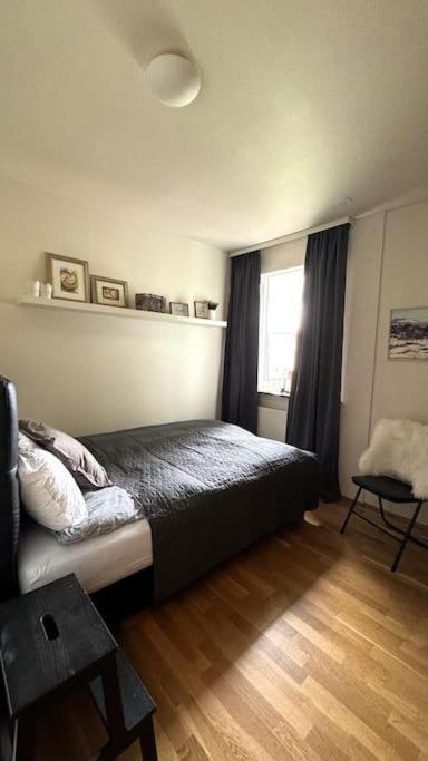 Cozy Icelandic Reykjavík