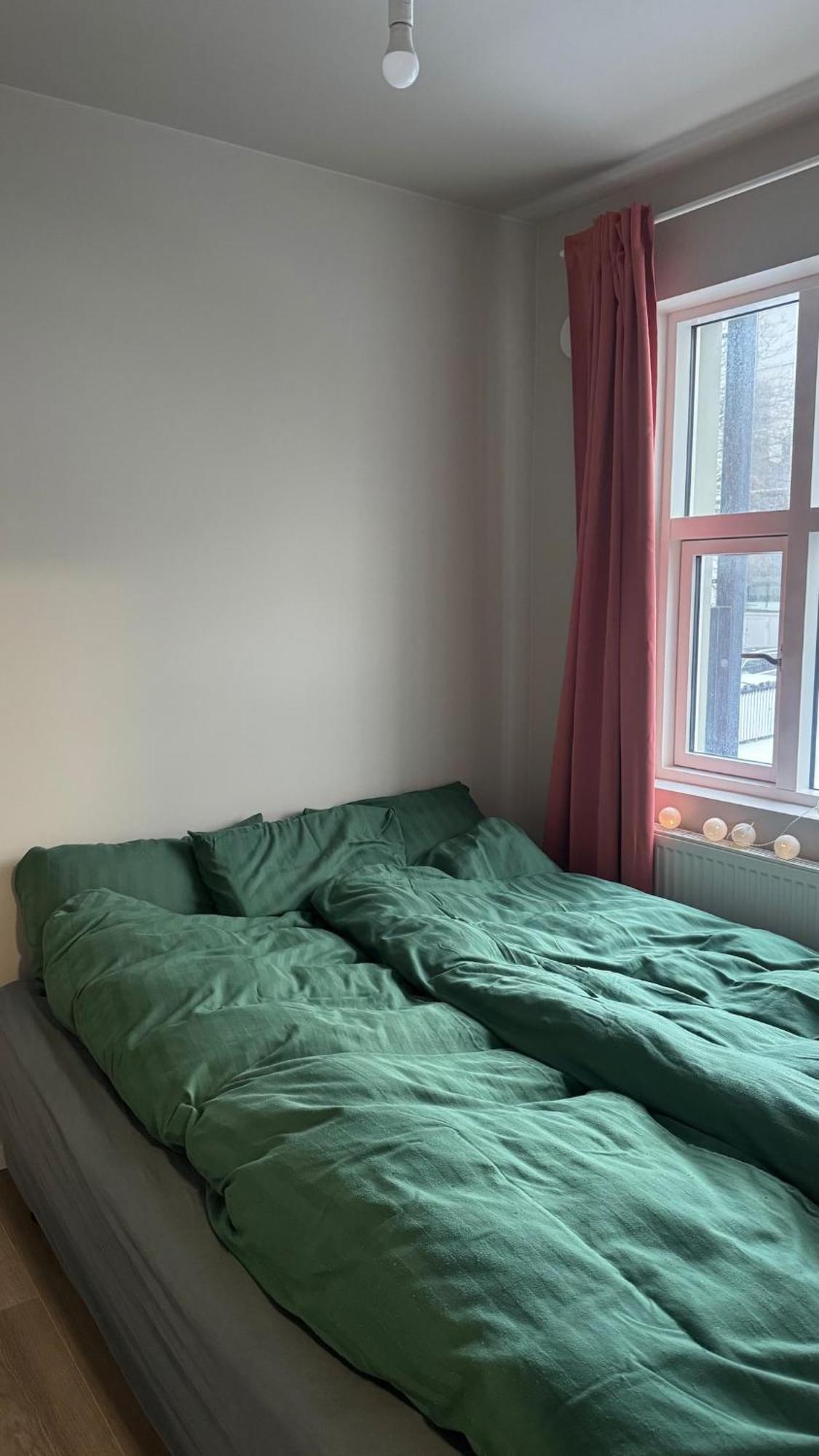 Apartment Ivys Flat