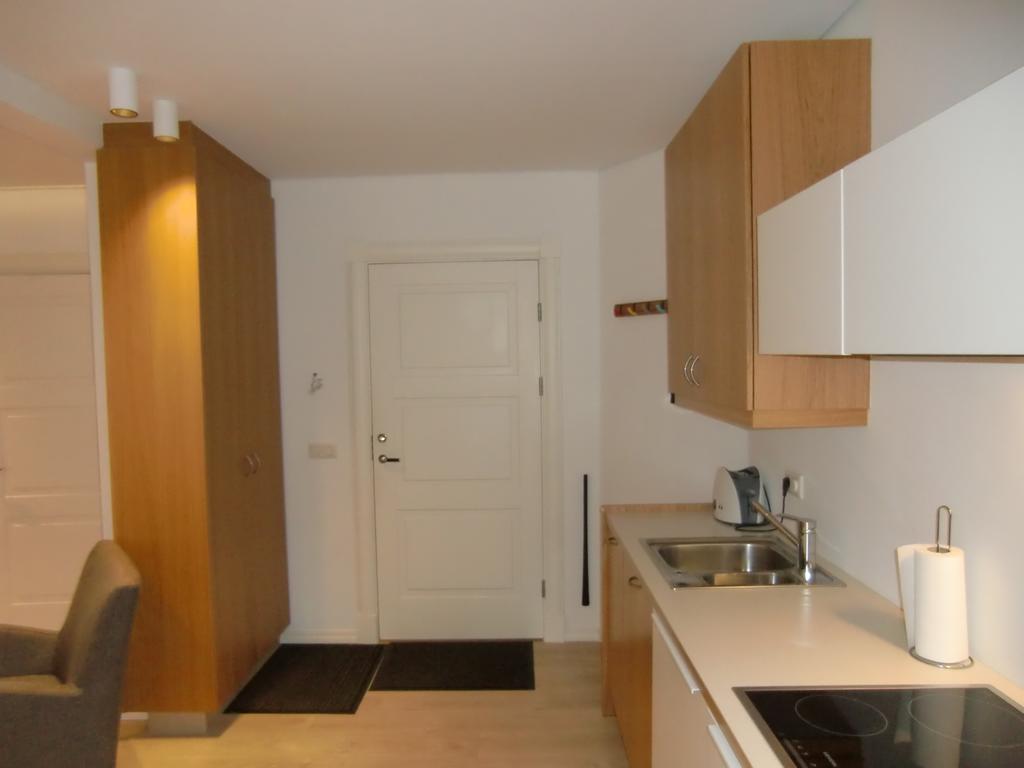 Apartment Next Bergstadastraeti