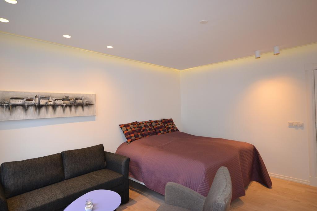 Apartment Next Bergstadastraeti