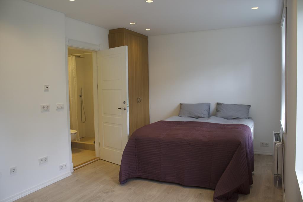 Next Bergstadastraeti Apartment *