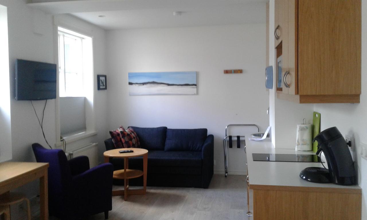 Apartment Next Bergstadastraeti
