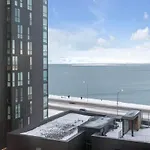 Reykjavik Home With A View