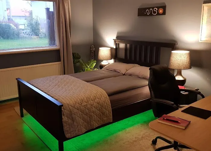 Great Downtown Apartment