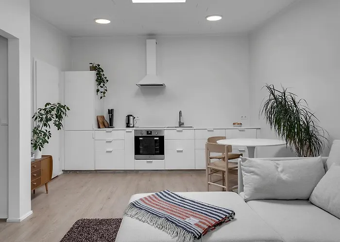 Bright & Cozy Studio Apartment