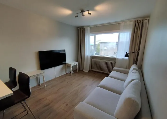 Vifilsgata Sunny Apartment