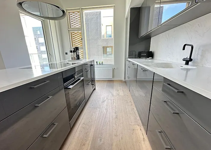 Luxary Apartment In Kolagata, Downtown Reykjavik - Birta Rentals