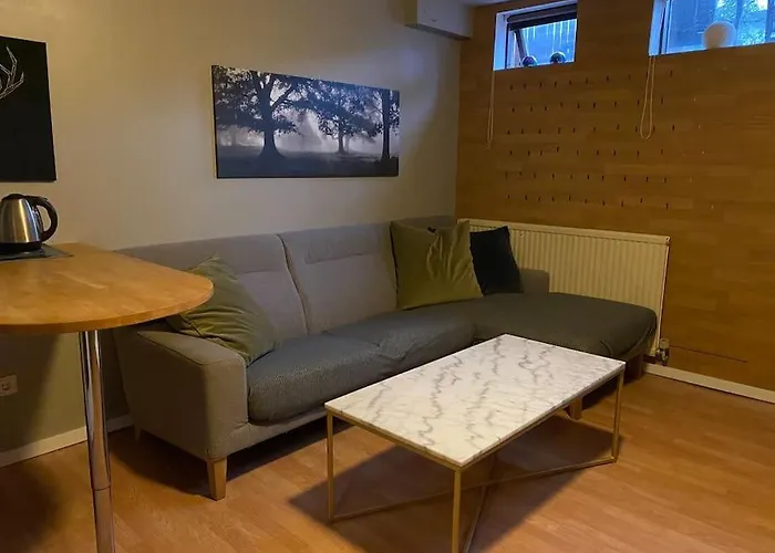 A Cozy Basement Apartment In Rvk Suburbs