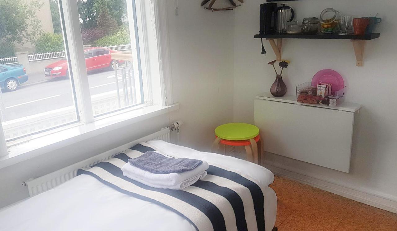 Refurinn Reikiavik