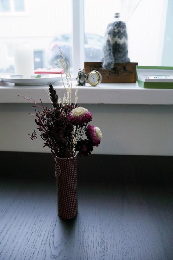 Apartment Signy's Nest Reykjavik