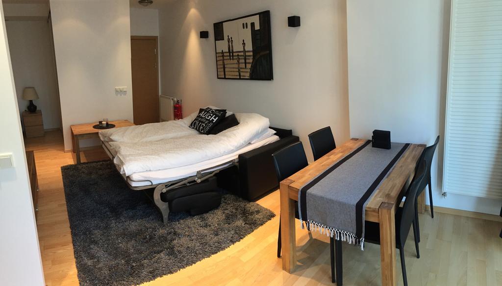 Caze Central Luxury Reiquiavique