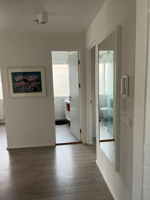 Lovely 1-bedroom With Free Parking Space Apartment