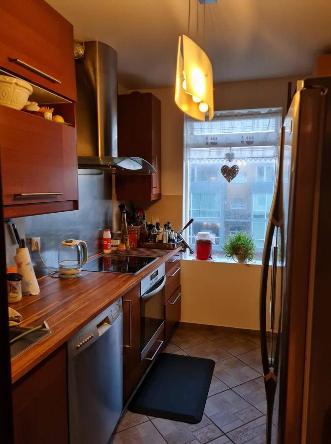 Cozy In Downtown Homestay Reykjavik