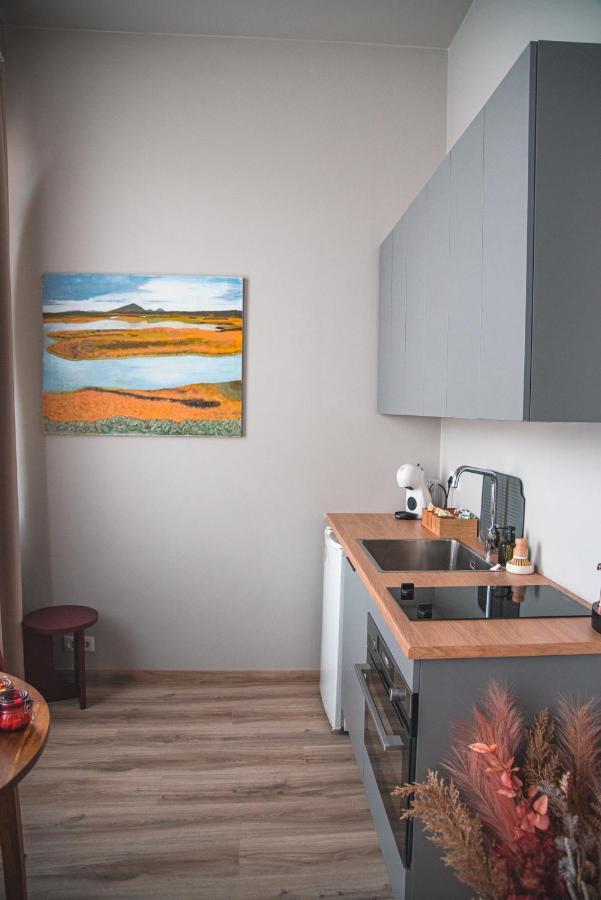 Cozy Studio By The City Centre * Reykjavik