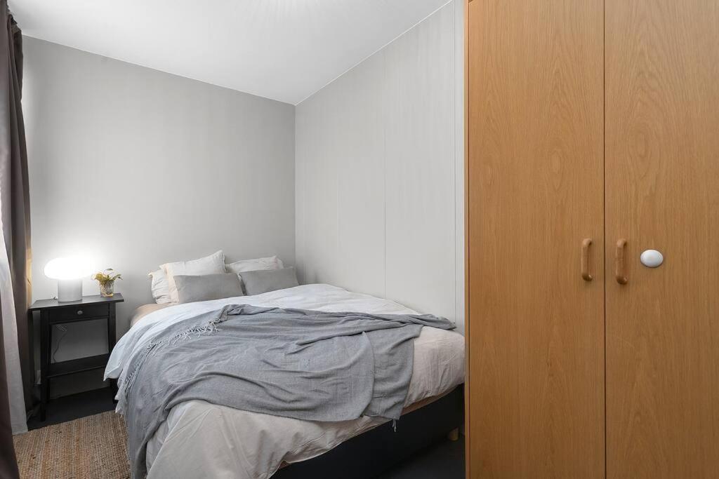 Cheerful 3br Down Town Newly Renovated Apartment Reykjavik
