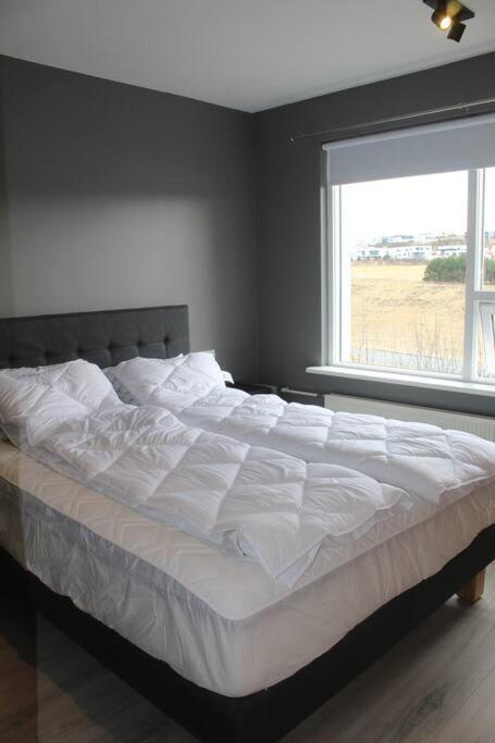 Apartment Charming 1br Apt Convenient Reykjavik