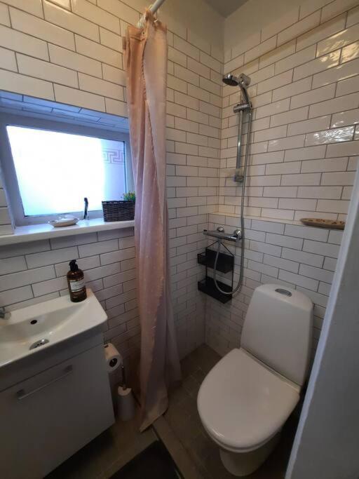 Hugguleg Ibuth - Cozy Reykjavik