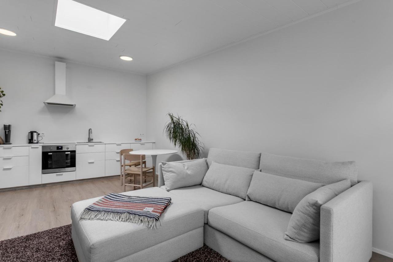 Bright & Cozy Studio Apartment