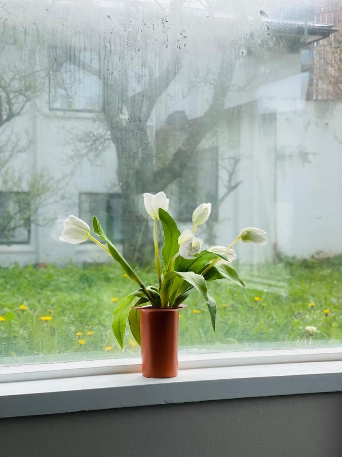 Full Near Centre And Sea Shore Apartment Reykjavik