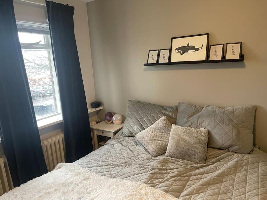 Cool Place In Perfect Location Downtown Apartment