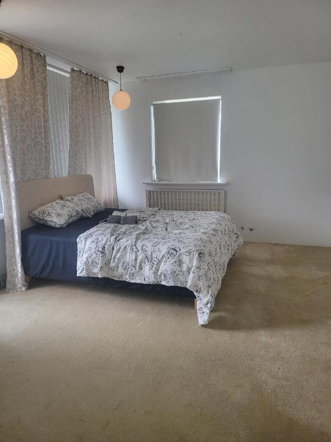 Luxury Apartamento Reiquiavique
