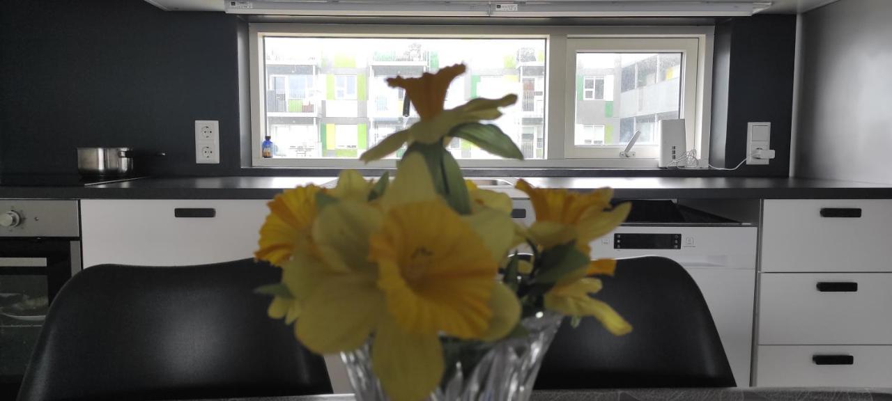 Bed & Breakfast Irda Reykjavik
