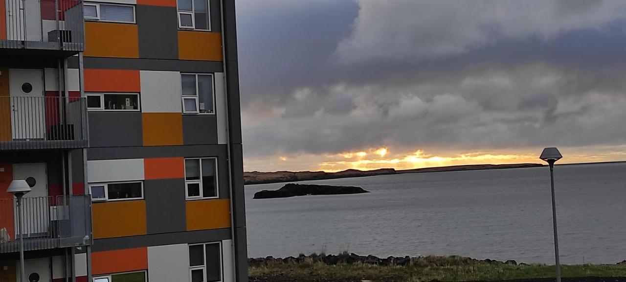 Irda * Reykjavik