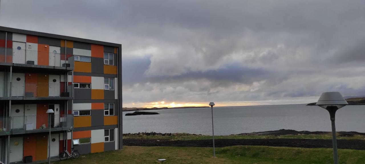 Irda * Reykjavik