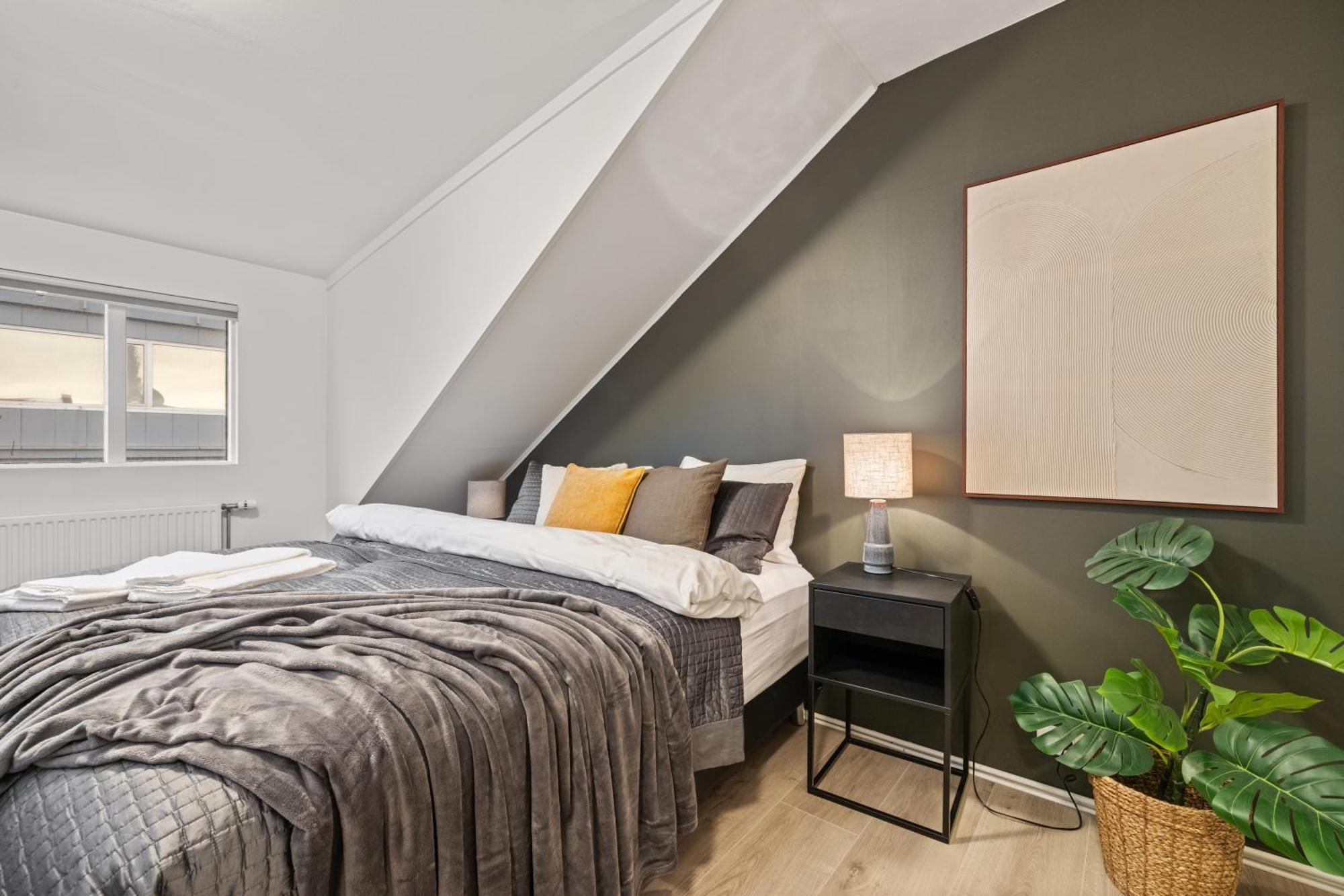 Possible Location-laugavegur Luxury Loft Holiday home Reykjavik
