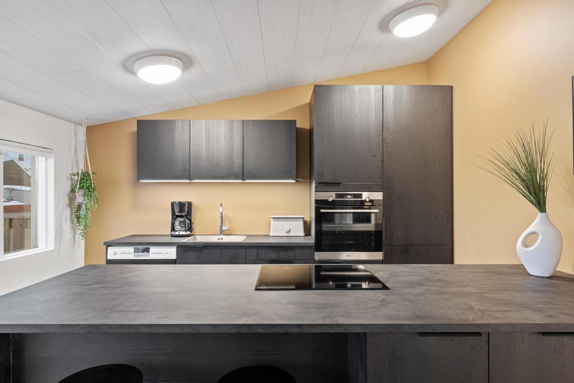 Possible Location-laugavegur Luxury Loft