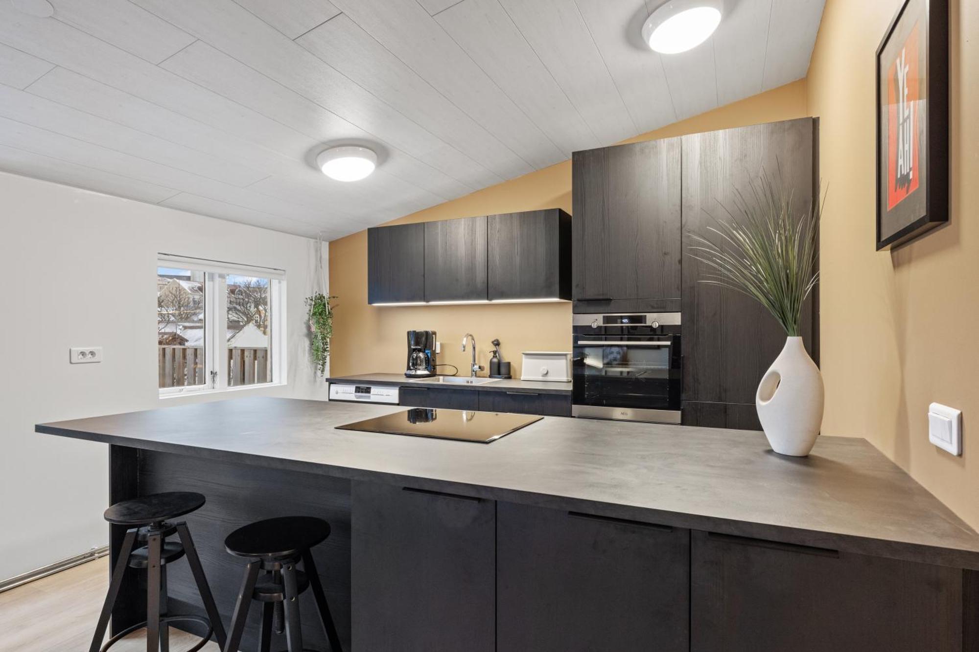 Possible Location-laugavegur Luxury Loft Holiday home Reykjavik