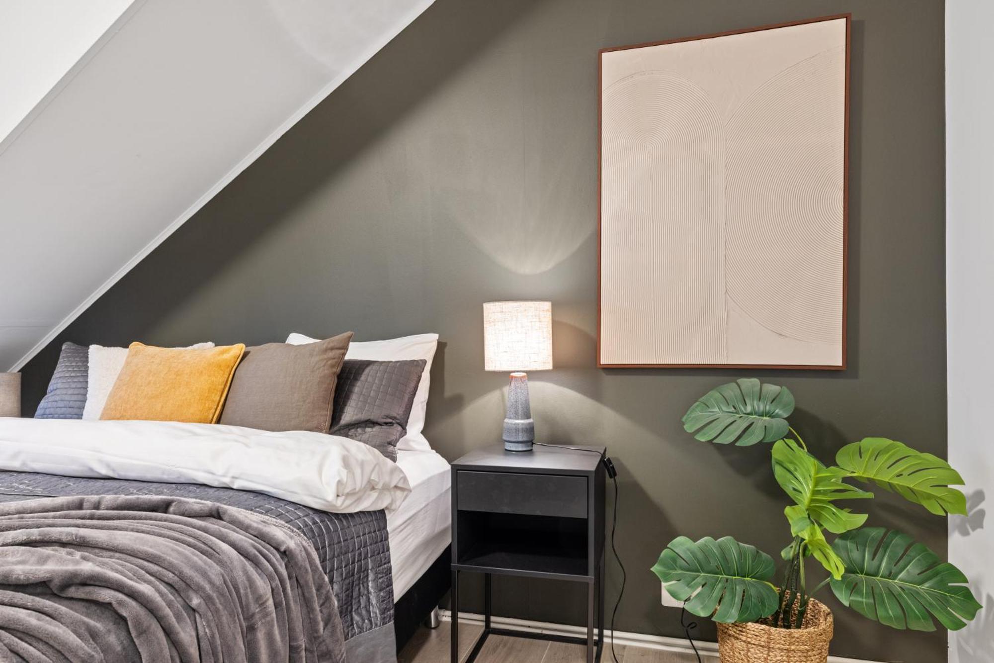 Possible Location-laugavegur Luxury Loft Reykjavik
