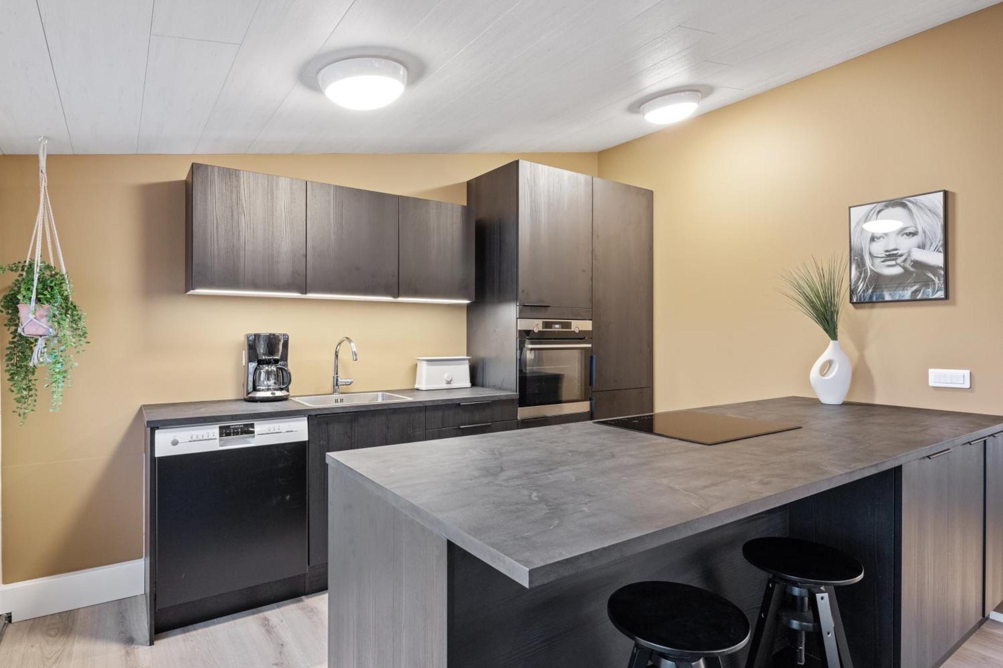 Possible Location-laugavegur Luxury Loft Holiday home *