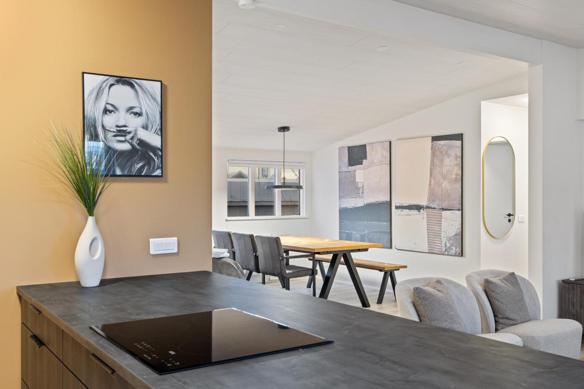 Holiday home Possible Location-laugavegur Luxury Loft