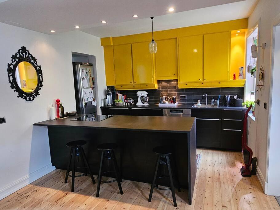 Sunny 2br In Downtown Apartment