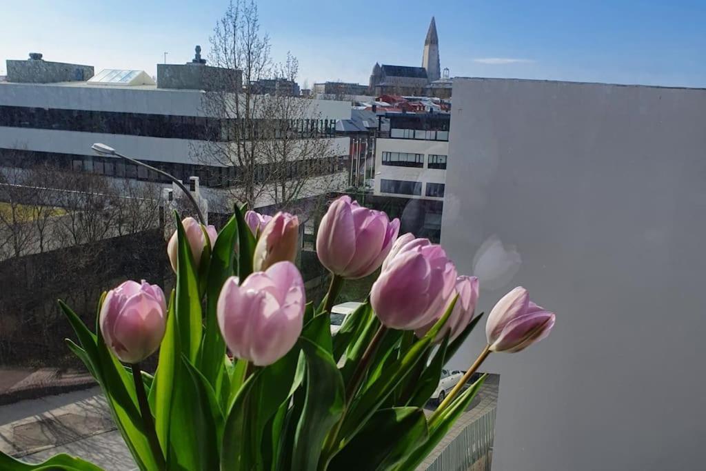 Lovely Modern 1-bedroom Apartment, Free Parking * Reykjavik