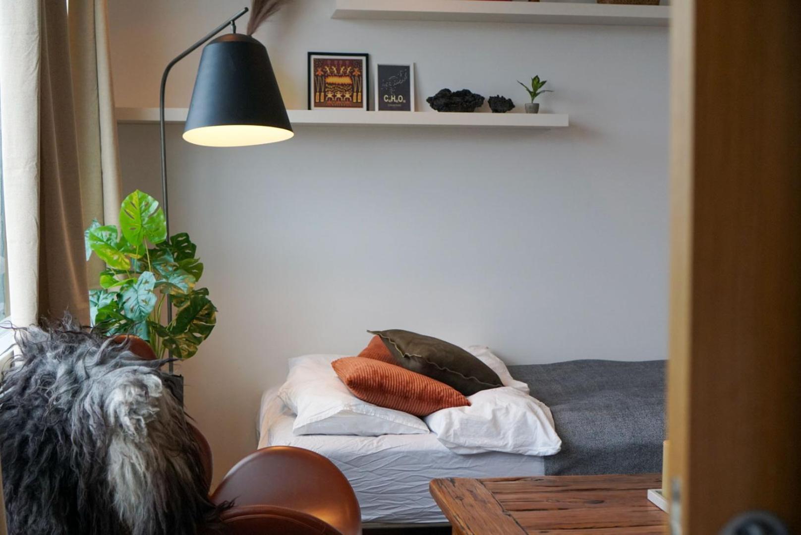 Apartment Laugavegur Penthouse Reykjavík