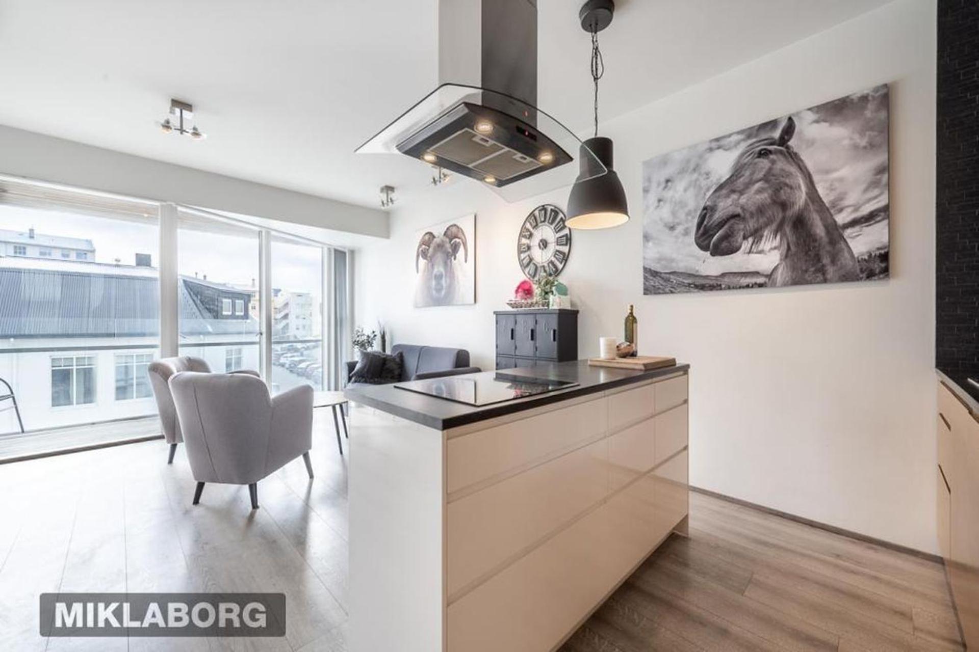 Venture Vacation-king Bed, With Free Parking Apartment Reykjavik