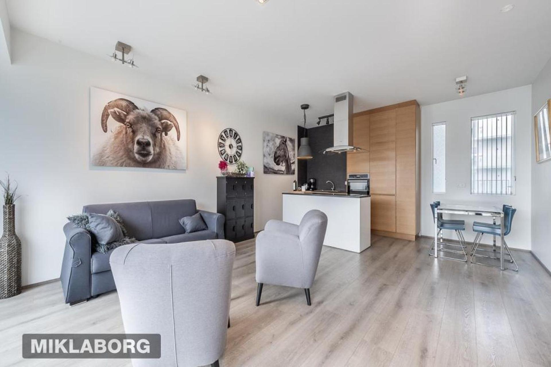 Venture Vacation-king Bed, With Free Parking Reykjavik