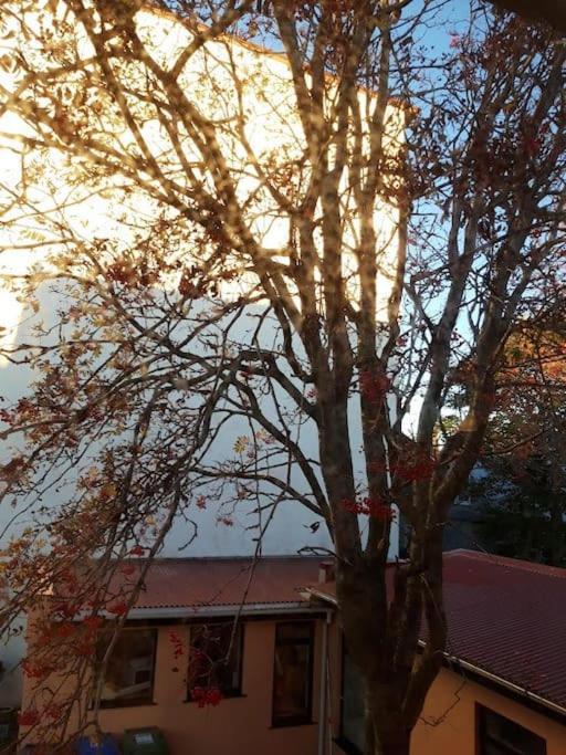 Beautiful In The Heart Of Apartment *