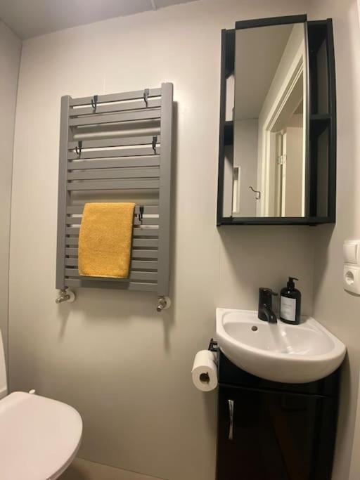 Cosy Tinyhouse Centrum Apartment *