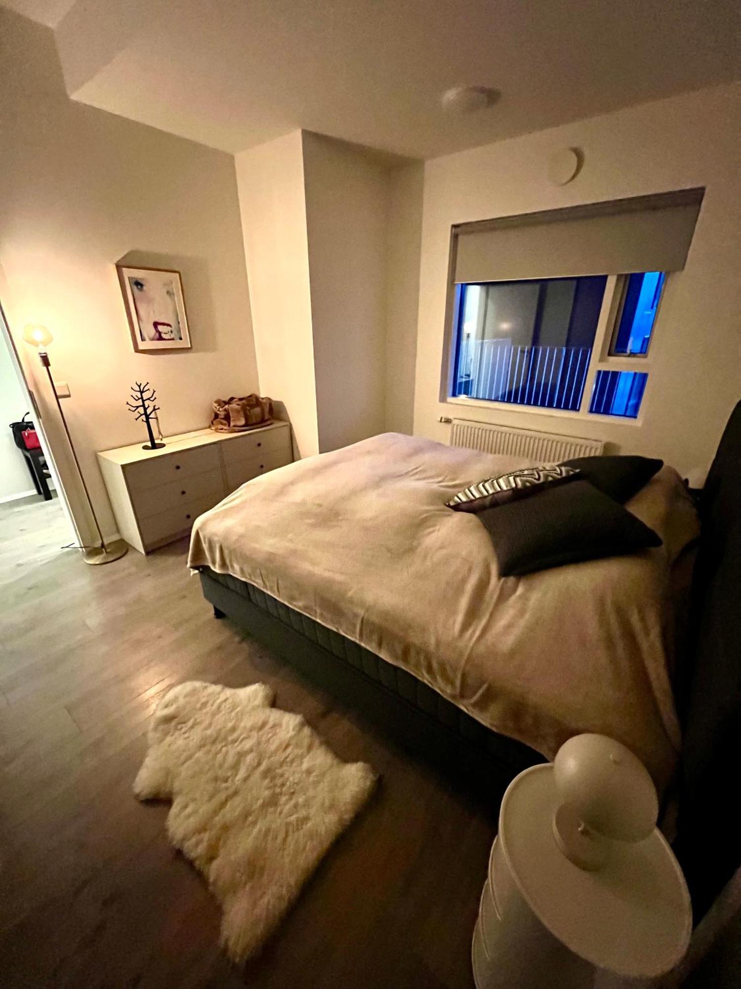 Modern Luxury Downtown Apartment