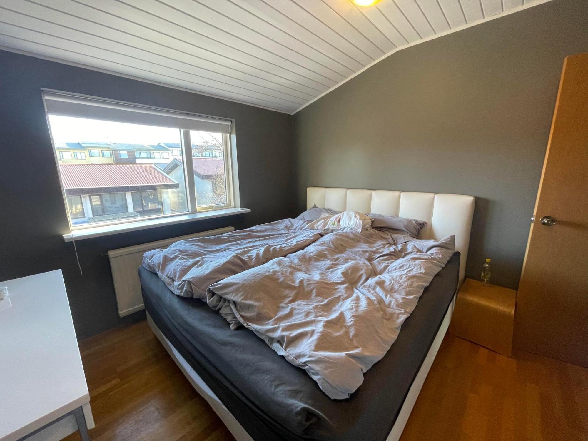 Apartment Spacious & Luxurious Family W Hot & Cold Tub & Sauna Reykjavik