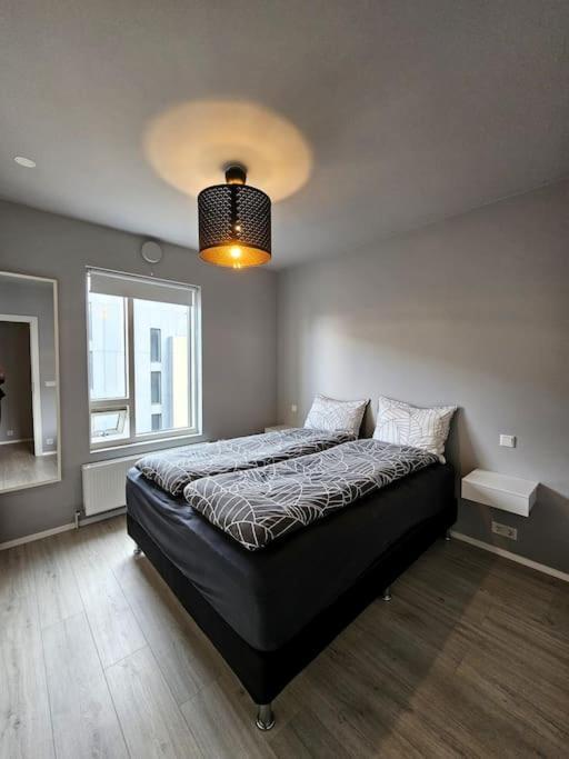 Apartment Tranquil Hideaway