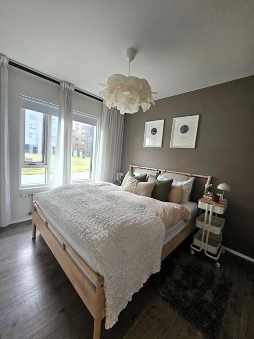 The Love Nest In * Reykjavik