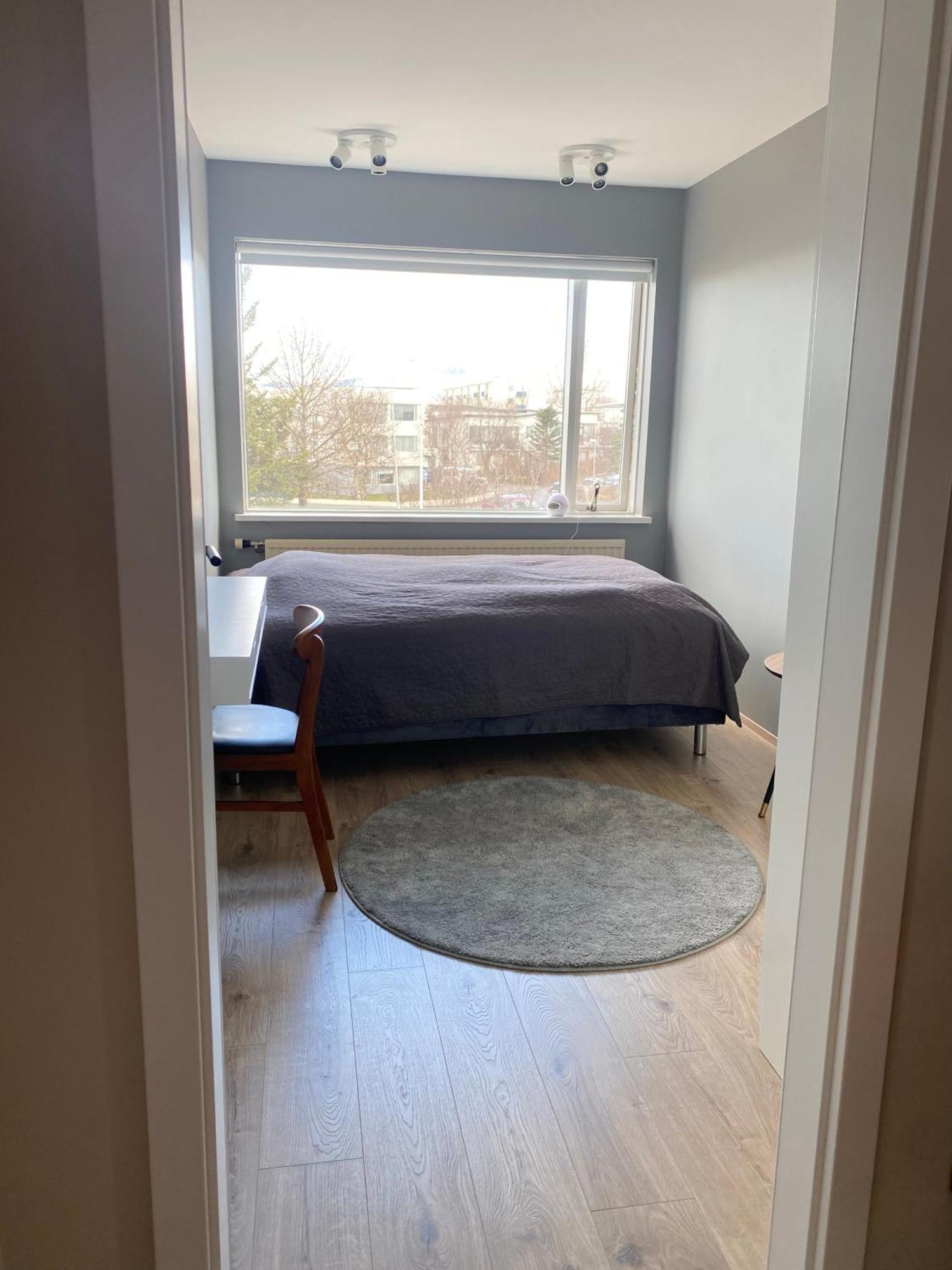 Bright And Spacious 2 Bedroom In Rvk