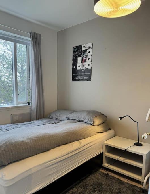 Lovely Downtown Apartment,great Location