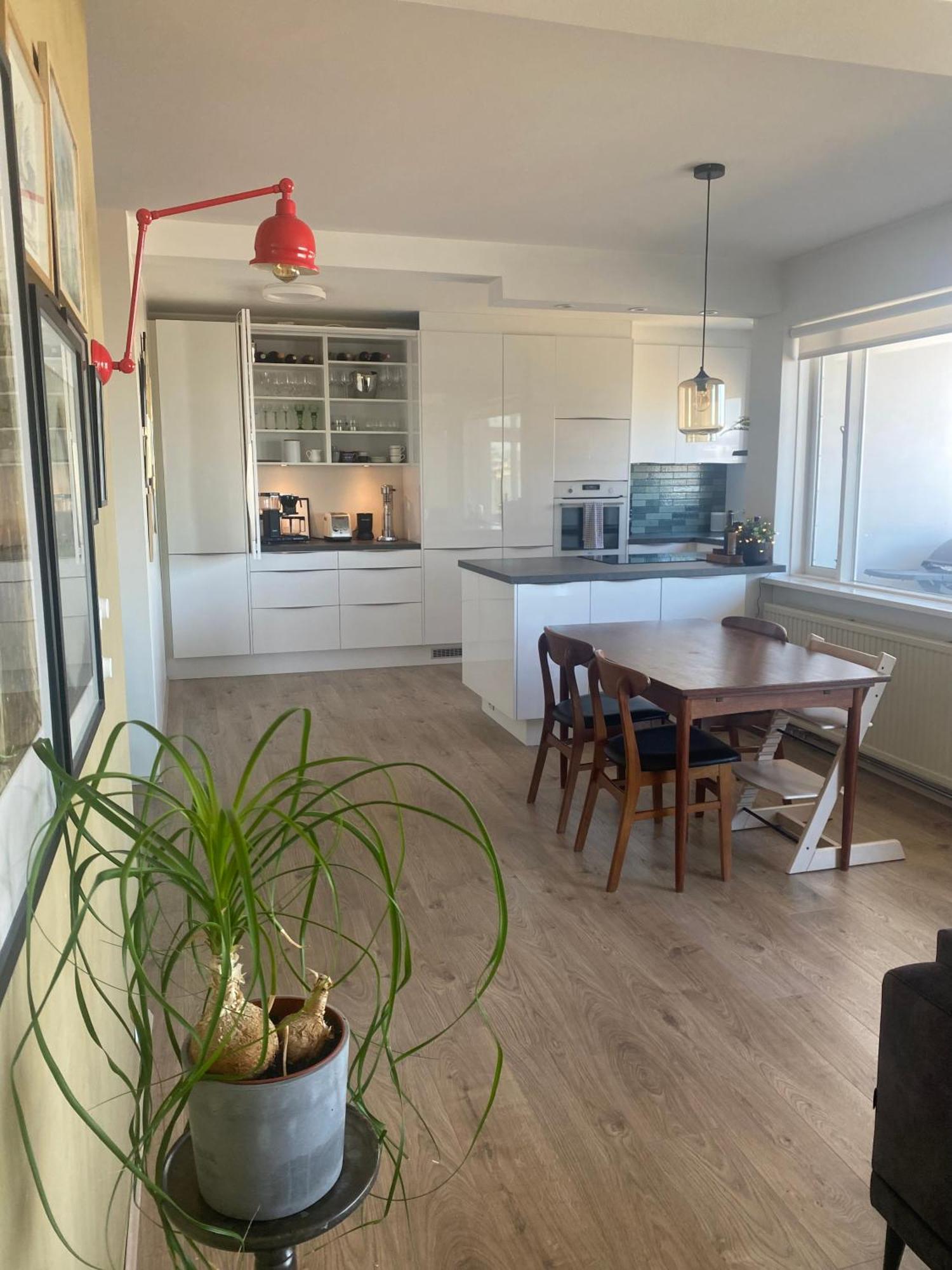 Bright And Spacious 2 Bedroom In Rvk Apartment